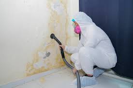 Why You Should Choose Our Mold Remediation Services in Hacienda Heights, CA